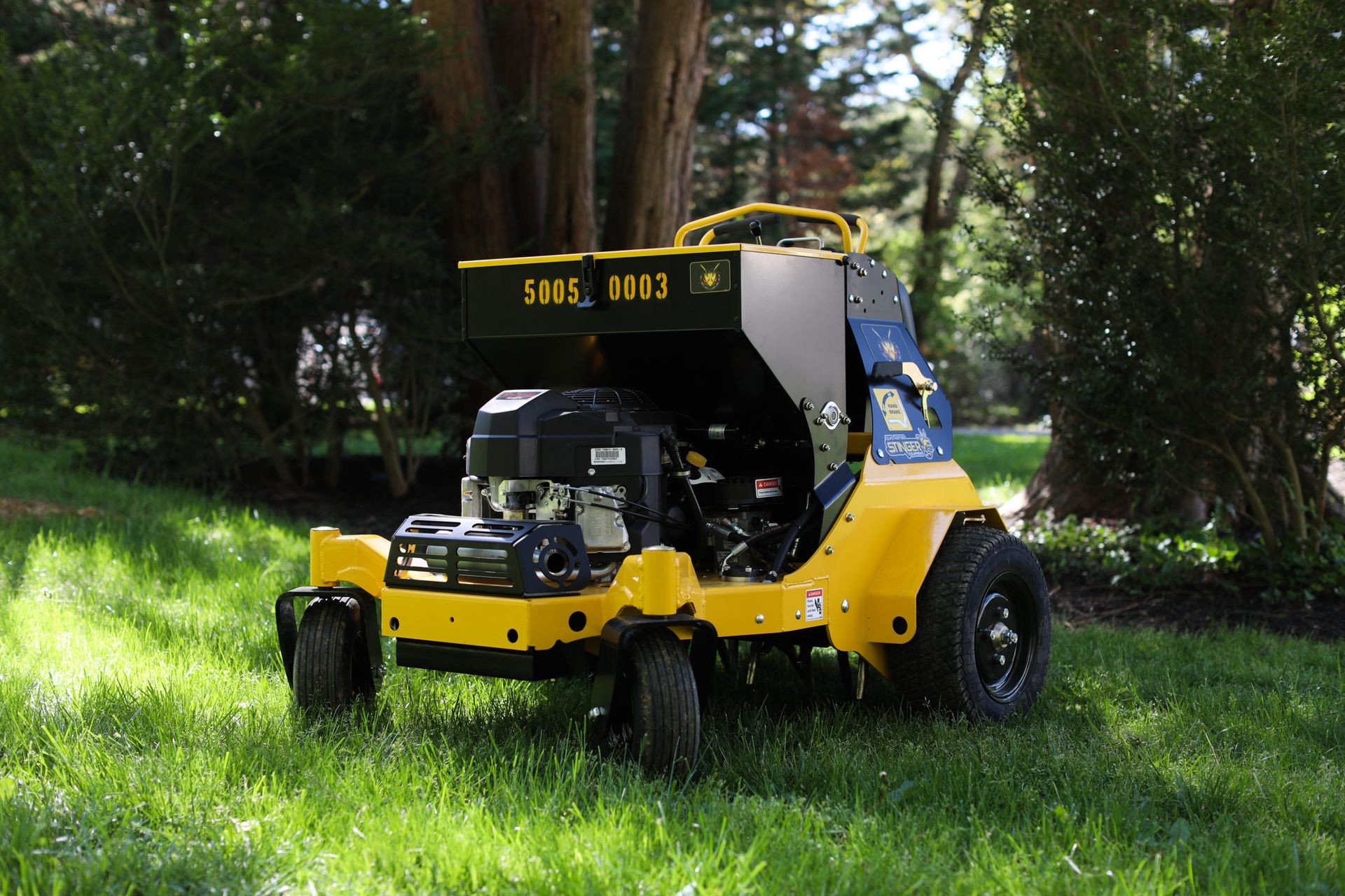 Aeration and Overseeding