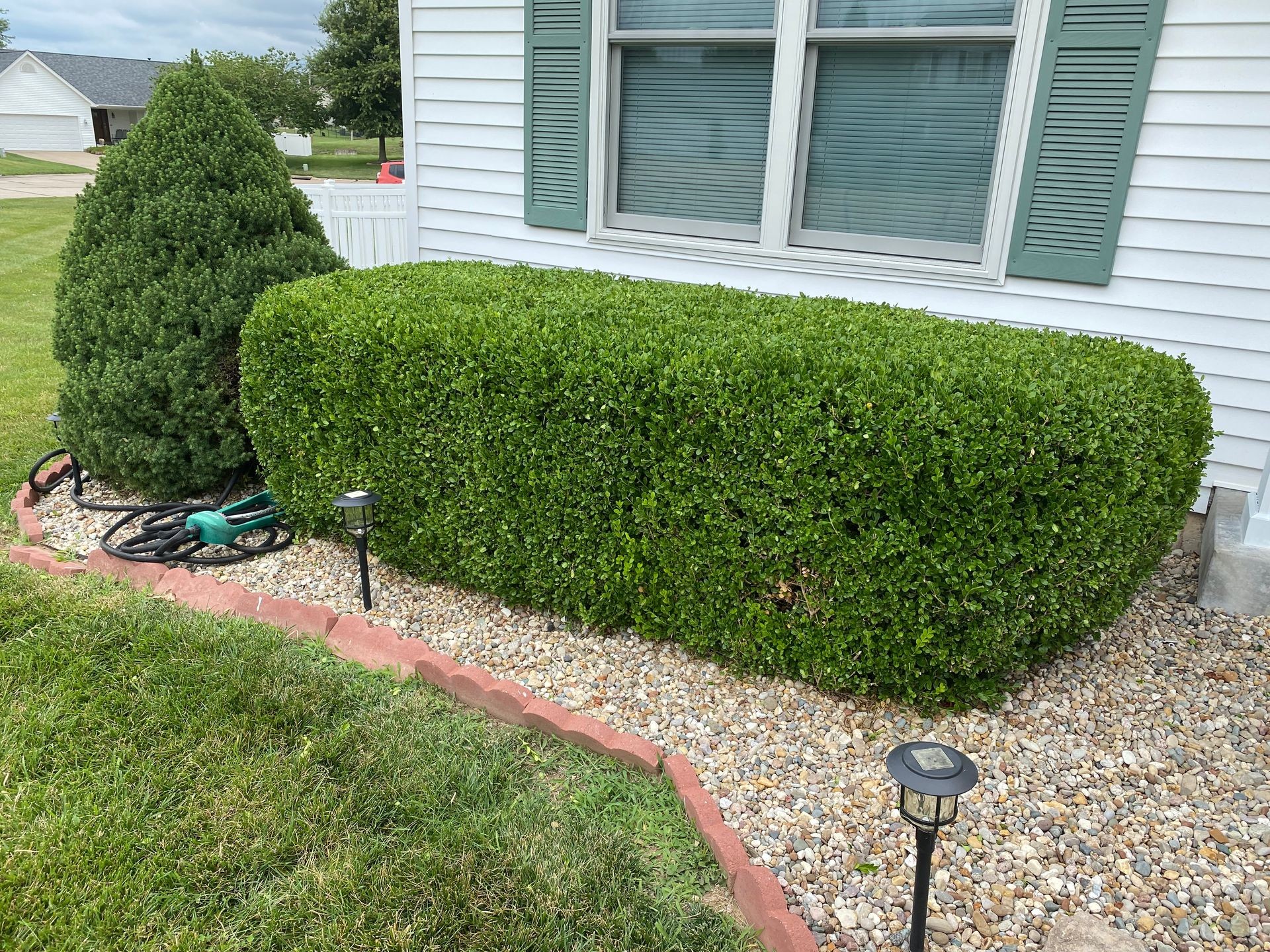 Bush Trimming